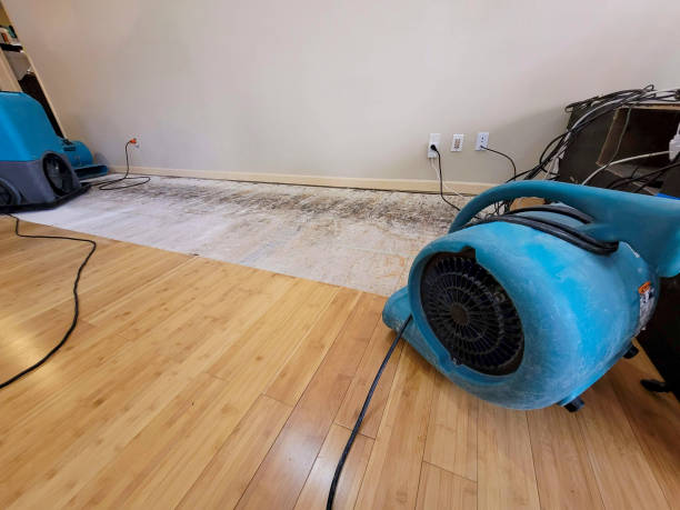 Professional Sewage Cleanup technician working in Stone Mountain, GA